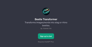 Beetle Transformer