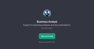 Business Analyst