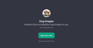 Dog Images