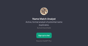 Name Match Analyst