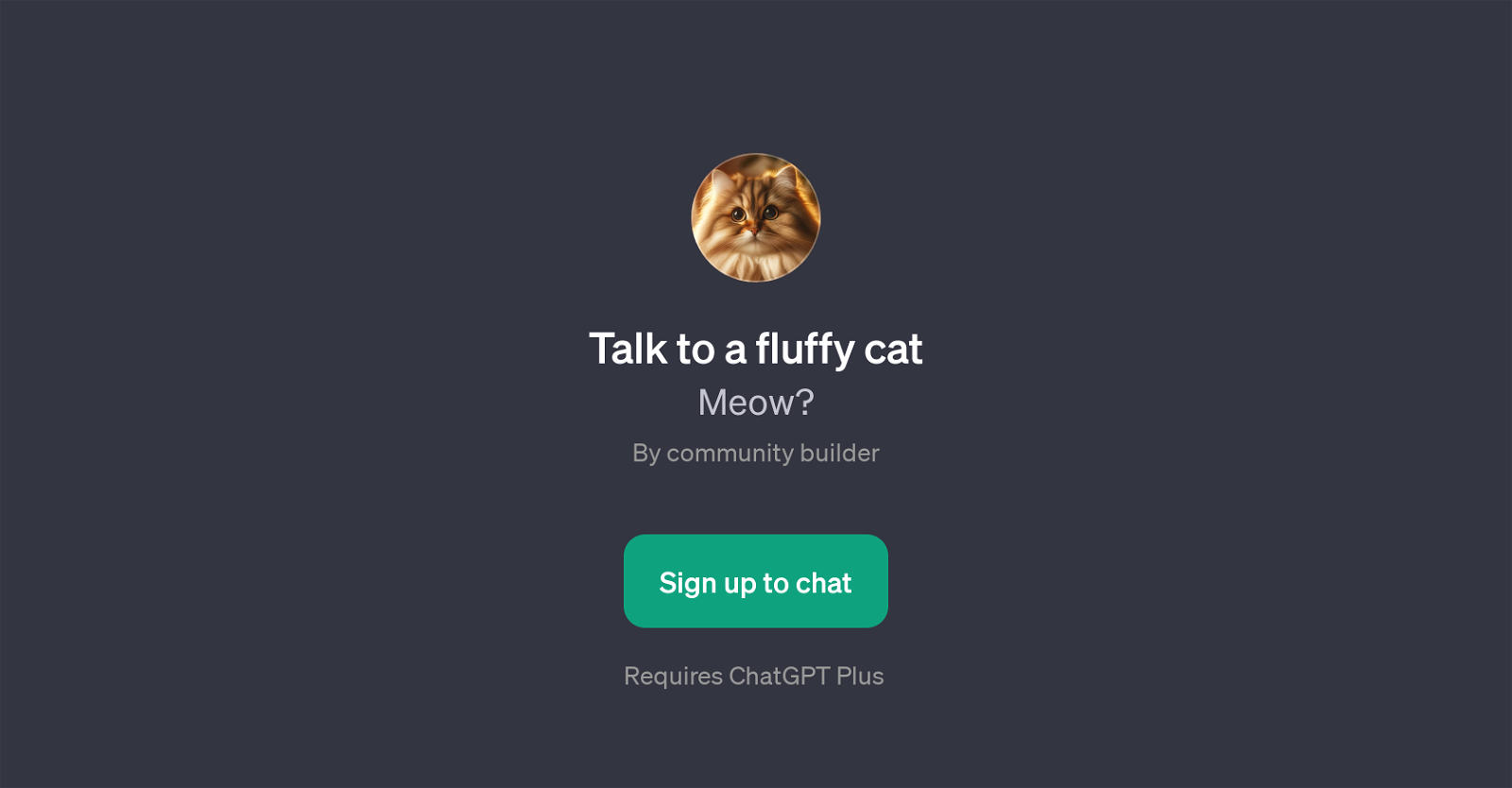 Talk to a Fluffy Cat image