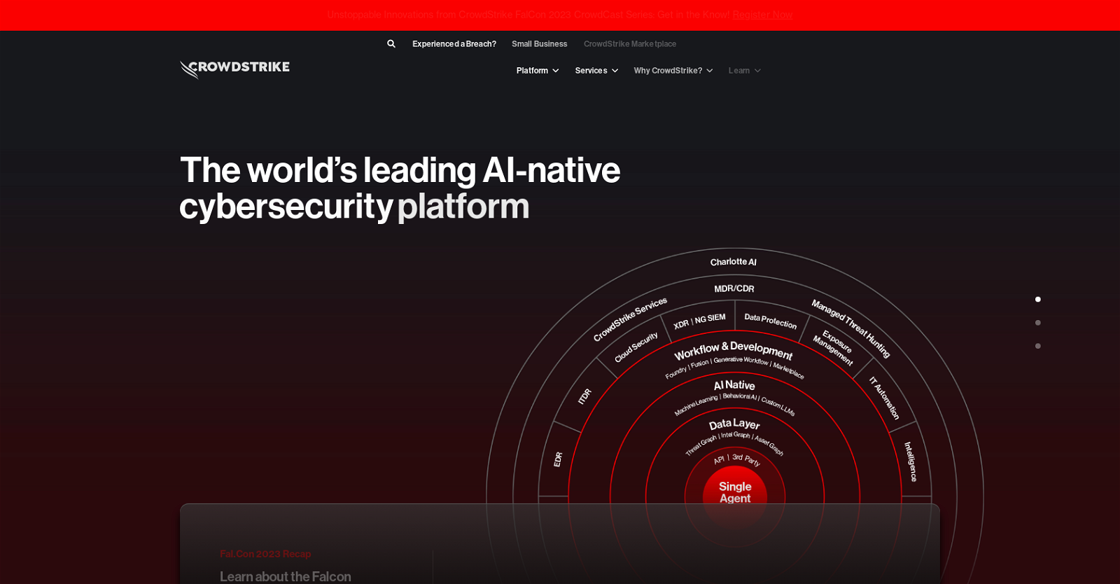 CrowdStrike image