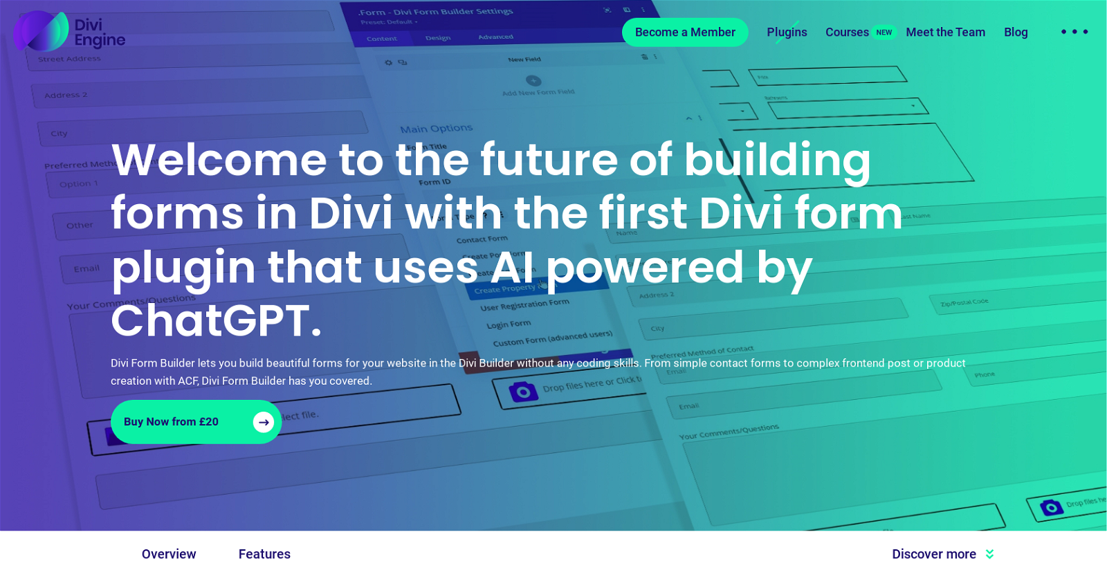 Divi Form Builder image