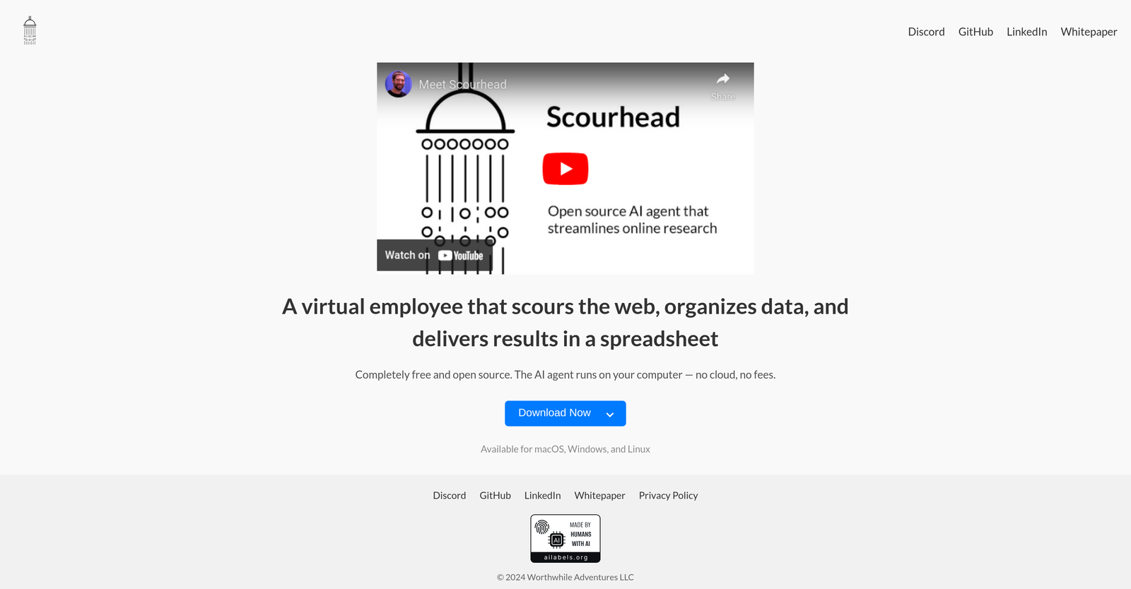 Scourhead image